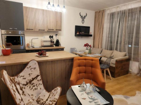 BH and Semiramida Ski Apartment